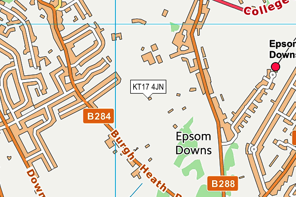 KT17 4JN map - OS VectorMap District (Ordnance Survey)