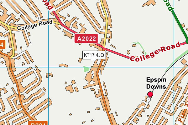 Epsom College Sports Centre map (KT17 4JQ) - OS VectorMap District (Ordnance Survey)