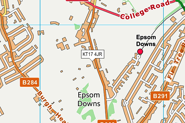 Epsom Golf Club map (KT17 4JR) - OS VectorMap District (Ordnance Survey)