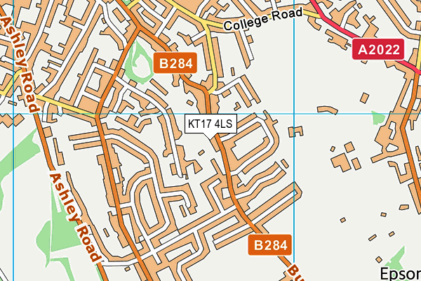 KT17 4LS map - OS VectorMap District (Ordnance Survey)