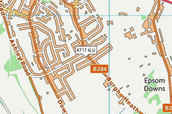 KT17 4LU map - OS VectorMap District (Ordnance Survey)