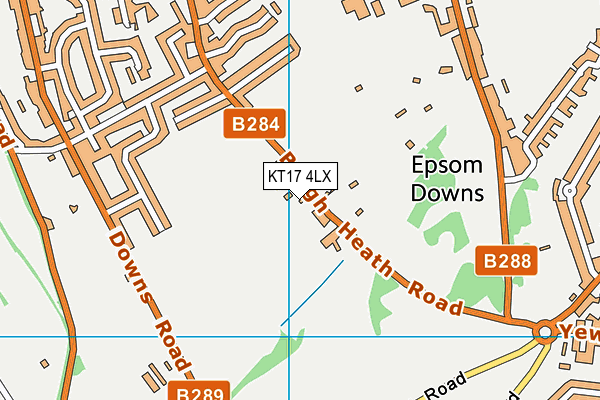 KT17 4LX map - OS VectorMap District (Ordnance Survey)