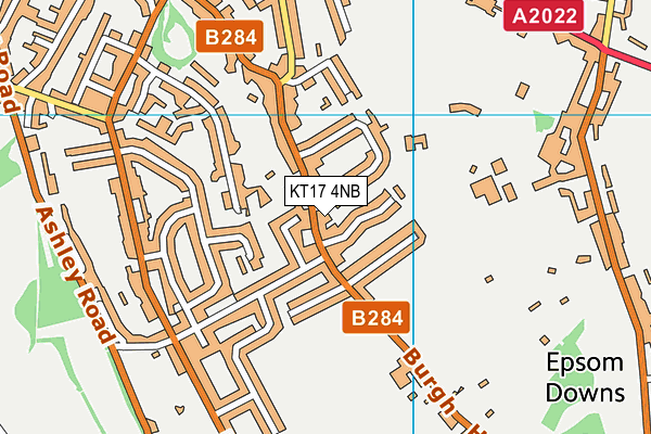 KT17 4NB map - OS VectorMap District (Ordnance Survey)