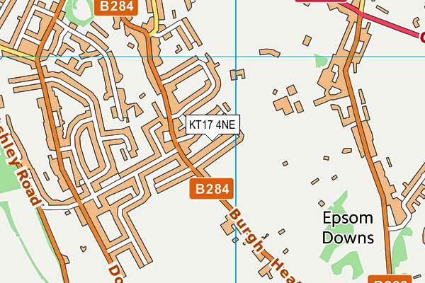 KT17 4NE map - OS VectorMap District (Ordnance Survey)