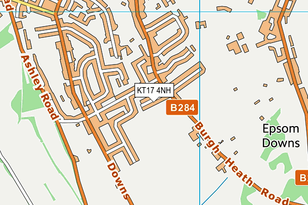 KT17 4NH map - OS VectorMap District (Ordnance Survey)