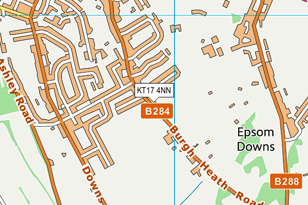KT17 4NN map - OS VectorMap District (Ordnance Survey)