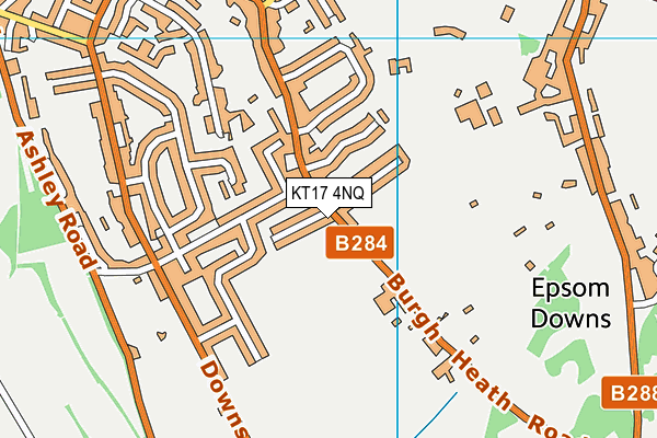 KT17 4NQ map - OS VectorMap District (Ordnance Survey)