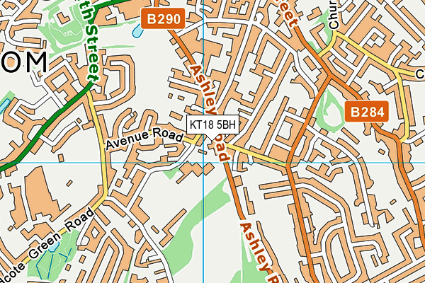 KT18 5BH map - OS VectorMap District (Ordnance Survey)