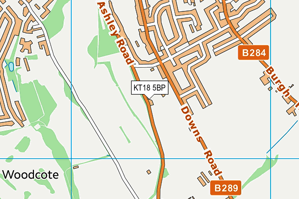 KT18 5BP map - OS VectorMap District (Ordnance Survey)