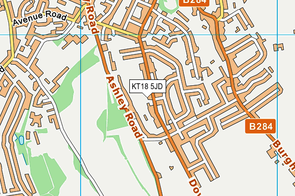 KT18 5JD map - OS VectorMap District (Ordnance Survey)