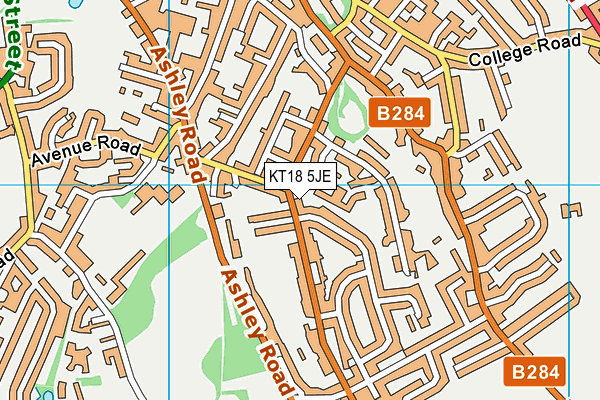KT18 5JE map - OS VectorMap District (Ordnance Survey)