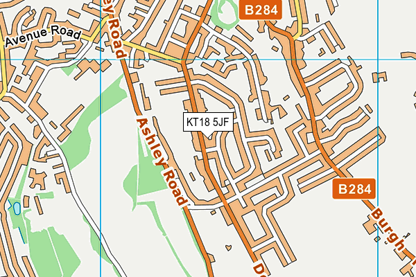 KT18 5JF map - OS VectorMap District (Ordnance Survey)