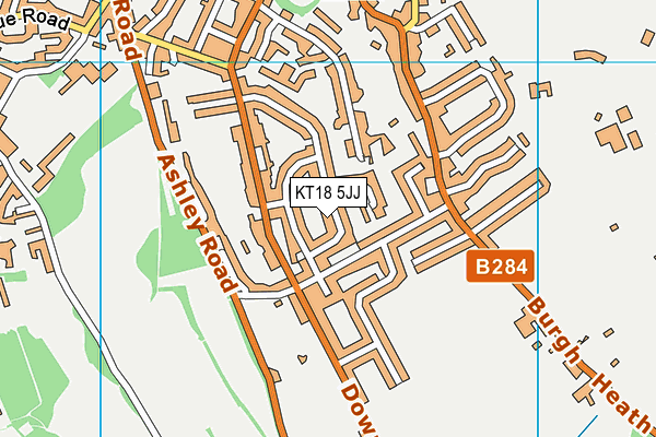 KT18 5JJ map - OS VectorMap District (Ordnance Survey)