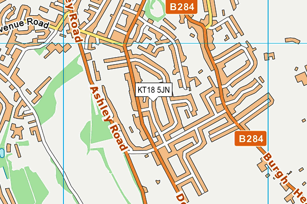 KT18 5JN map - OS VectorMap District (Ordnance Survey)