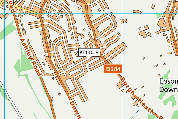 KT18 5JP map - OS VectorMap District (Ordnance Survey)