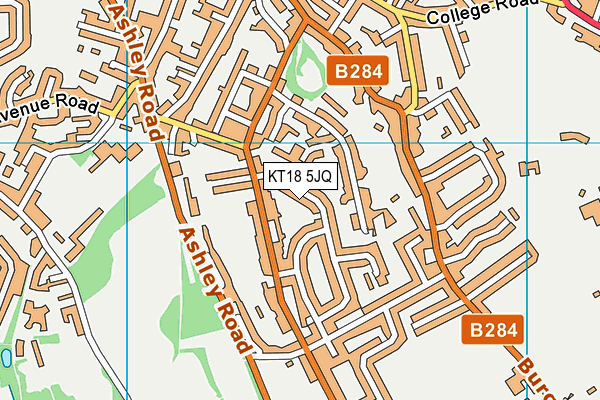 KT18 5JQ map - OS VectorMap District (Ordnance Survey)