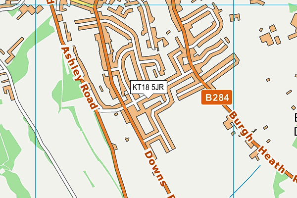KT18 5JR map - OS VectorMap District (Ordnance Survey)