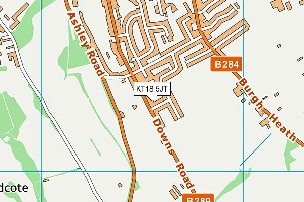 KT18 5JT map - OS VectorMap District (Ordnance Survey)