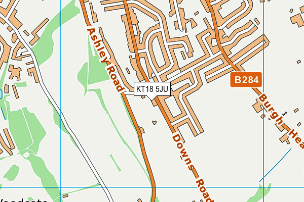 KT18 5JU map - OS VectorMap District (Ordnance Survey)
