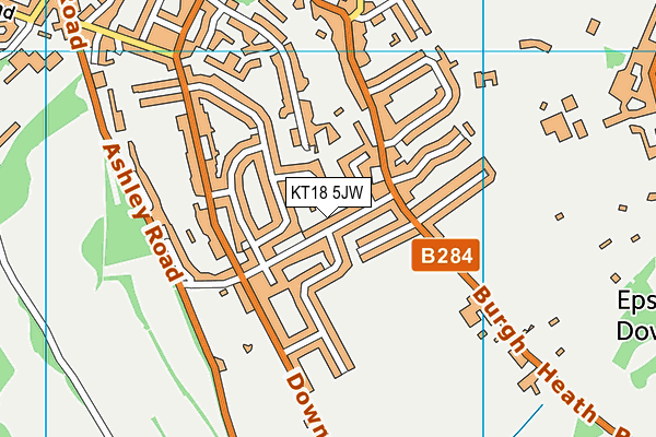 KT18 5JW map - OS VectorMap District (Ordnance Survey)