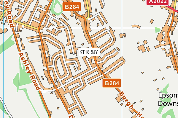 KT18 5JY map - OS VectorMap District (Ordnance Survey)