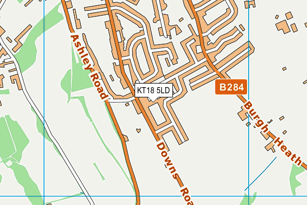 KT18 5LD map - OS VectorMap District (Ordnance Survey)