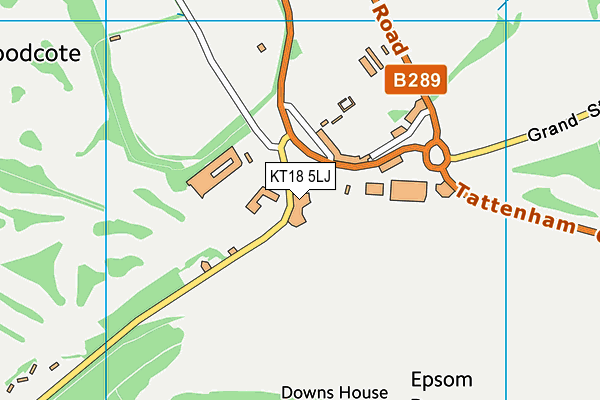 KT18 5LJ map - OS VectorMap District (Ordnance Survey)