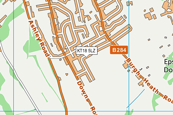 KT18 5LZ map - OS VectorMap District (Ordnance Survey)