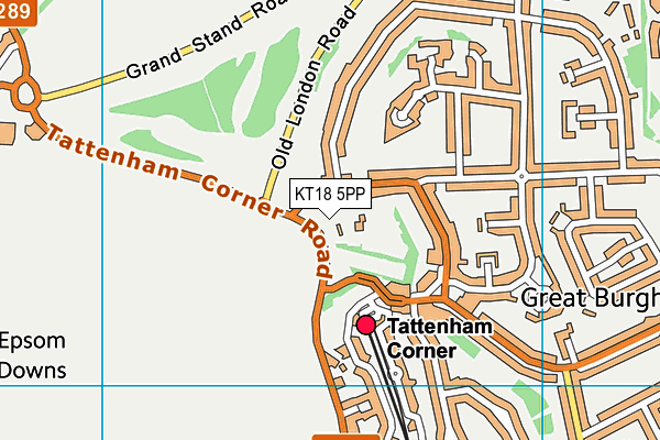 KT18 5PP map - OS VectorMap District (Ordnance Survey)