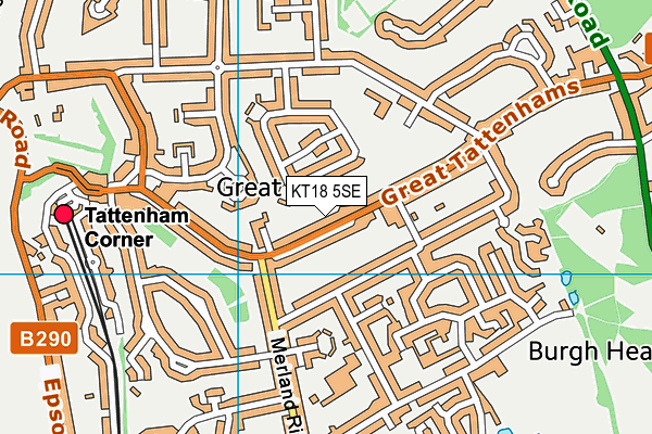 KT18 5SE map - OS VectorMap District (Ordnance Survey)