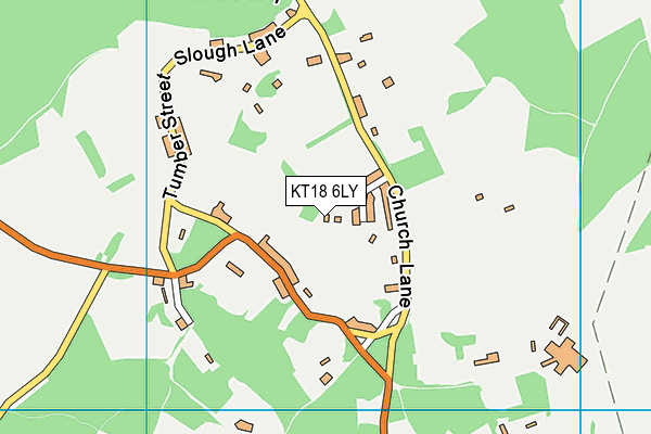 KT18 6LY map - OS VectorMap District (Ordnance Survey)