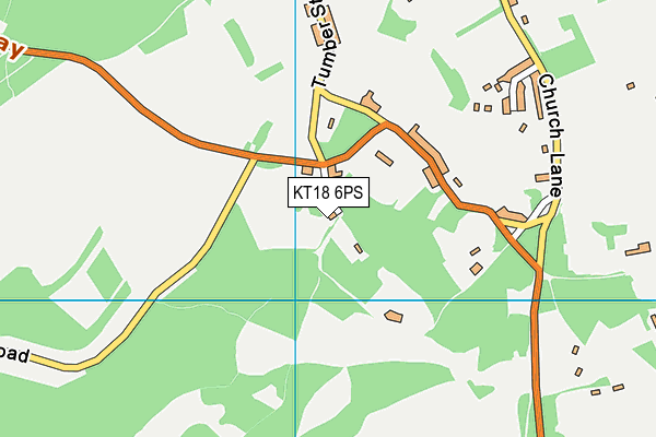 KT18 6PS map - OS VectorMap District (Ordnance Survey)