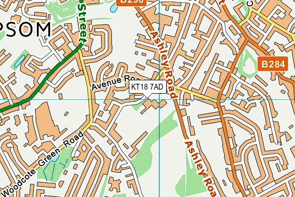 St Martins Church of England Junior School map (KT18 7AD) - OS VectorMap District (Ordnance Survey)
