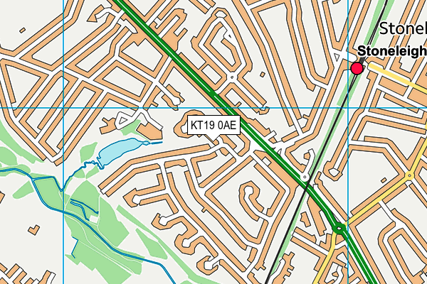 KT19 0AE map - OS VectorMap District (Ordnance Survey)