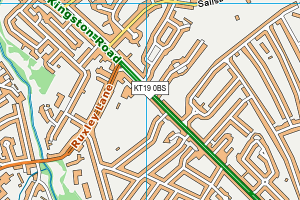 KT19 0BS map - OS VectorMap District (Ordnance Survey)