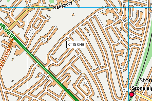 KT19 0NB map - OS VectorMap District (Ordnance Survey)
