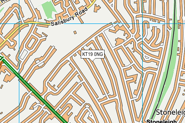 KT19 0NG map - OS VectorMap District (Ordnance Survey)