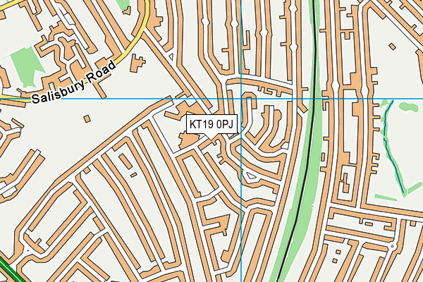 KT19 0PJ map - OS VectorMap District (Ordnance Survey)