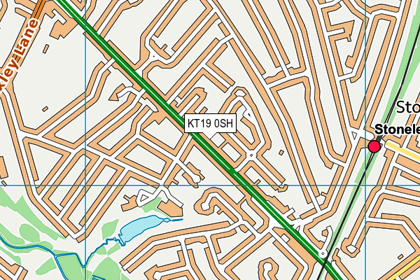 KT19 0SH map - OS VectorMap District (Ordnance Survey)