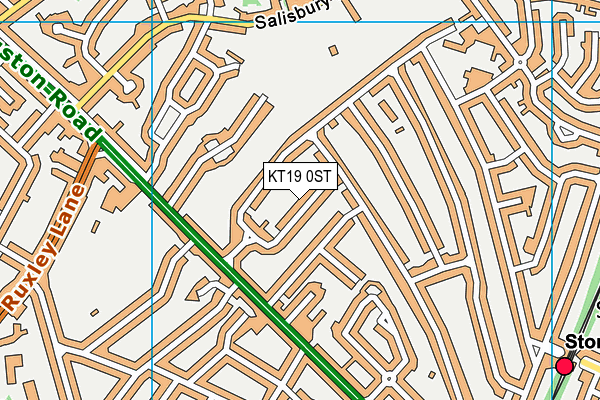 KT19 0ST map - OS VectorMap District (Ordnance Survey)