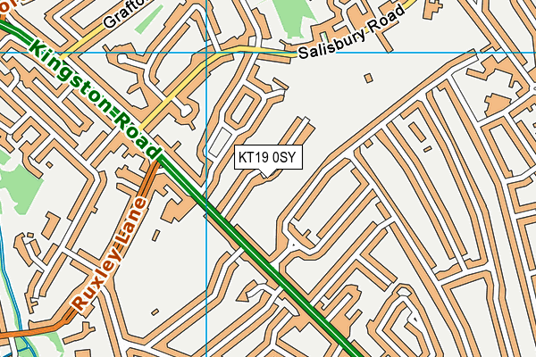 KT19 0SY map - OS VectorMap District (Ordnance Survey)