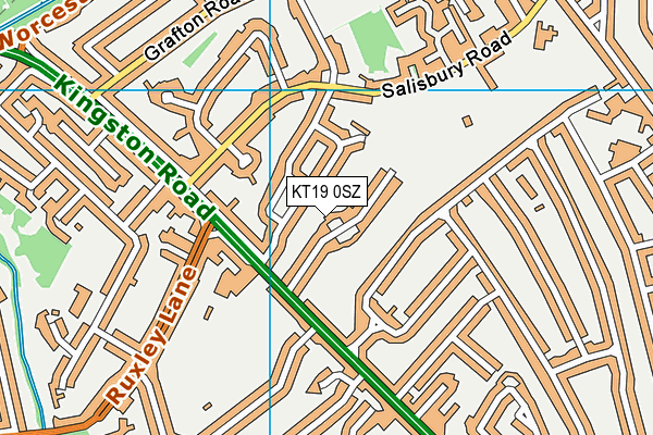 KT19 0SZ map - OS VectorMap District (Ordnance Survey)