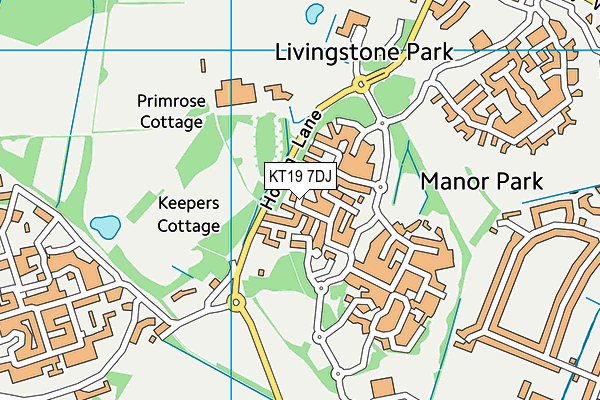KT19 7DJ map - OS VectorMap District (Ordnance Survey)