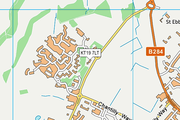KT19 7LT map - OS VectorMap District (Ordnance Survey)