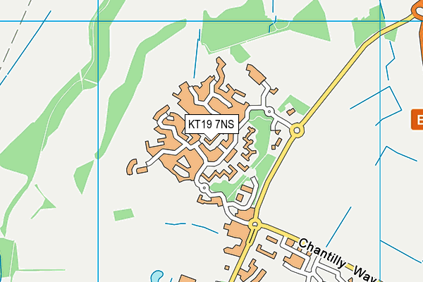 KT19 7NS map - OS VectorMap District (Ordnance Survey)