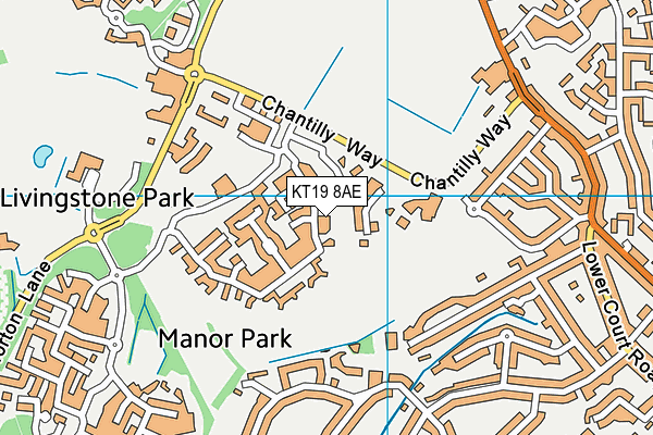 KT19 8AE map - OS VectorMap District (Ordnance Survey)