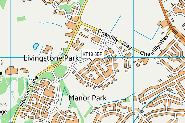 KT19 8BP map - OS VectorMap District (Ordnance Survey)