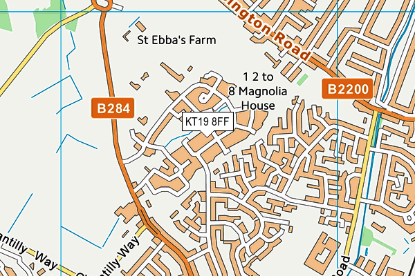 KT19 8FF map - OS VectorMap District (Ordnance Survey)