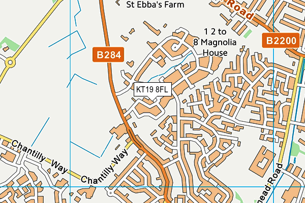 KT19 8FL map - OS VectorMap District (Ordnance Survey)