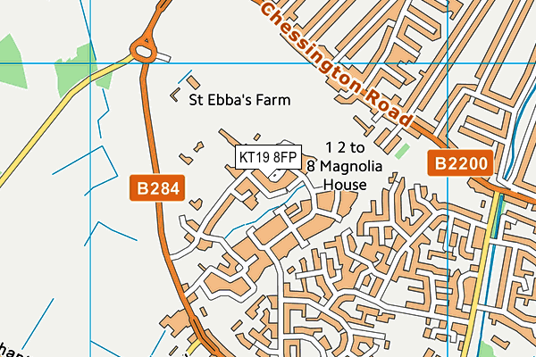 KT19 8FP map - OS VectorMap District (Ordnance Survey)